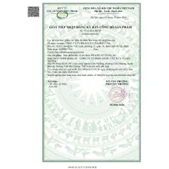 Viên uống PHAGELVIT Plus (Hộp 100 viên) Bổ sung vi chất thiếu hụt, tăng cường sức đề kháng, giảm mệt mỏi, suy nhược