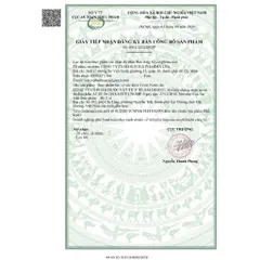Viên uống Fevitt Nano (Hộp 100 viên) Bổ sung sắt, acid folic và vitamin B12, cải thiện tình trạng thiếu máu do thiếu sắt