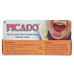 Gel bôi nhiệt miệng PICADO (Tuýp 10g) Giúp giảm các vết loét miệng, viêm nướu
