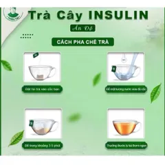 CHÍNH HÃNG TRÀ CÂY INSULIN ẤN ĐỘ MUA 5 TẶNG 2