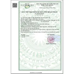 Kim Tiền Thảo Râu Mèo DHG ( chai 100 viên) hỗ trợ điều trị sỏi thận, sỏi tiết niệu, lợi tiểu.