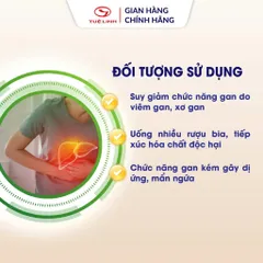 Cà Gai Leo Tuệ Linh [Chính hãng] - Giúp bảo vệ tăng cường chức năng gan, giải độc gan - Hộp 60 viên