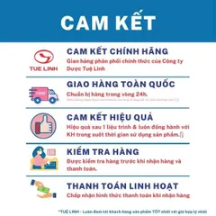 Cà Gai Leo Tuệ Linh [Chính hãng] - Giúp bảo vệ tăng cường chức năng gan, giải độc gan - Hộp 60 viên