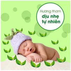 XỊT CHỐNG MUỖI SOFFELL DẠNG PHUN SƯƠNG - CHAI 80ml