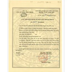 ✅[Chính Hãng] RAPUZHAIR viên uống hỗ trợ cải thiện tình trạng rụng tóc, giúp mọc tóc, giúp tóc chắc khoẻ (Hộp 30 viên)