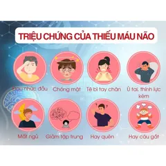 HOẠT HUYẾT TAM LONG 10V HẠN CHẾ TẮC MẠCH TAI BIẾN MẠCH MÁU NÃO
