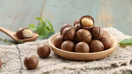 Hạt mắc ca  sấy khô đặc sản Tây Nguyên hũ 500gr đã cưa vỏ ăn liên
