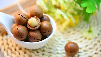 Hạt mắc ca  sấy khô đặc sản Tây Nguyên hũ 500gr đã cưa vỏ ăn liên