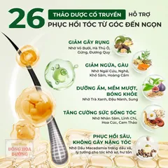 Combo Dầu Gội + Dầu Xả 26 Thảo Dược Sắc Ngọc Khang (350g + 200g) Giảm gãy rụng, tóc chắc khỏe, mềm mượt, sạch gàu