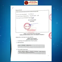 Sữa rửa mặt thảo dược Sắc Ngọc Khang (Tuýp 50g/100g) Làm sạch dịu nhẹ, dưỡng ẩm da, sáng da, giảm xỉn màu