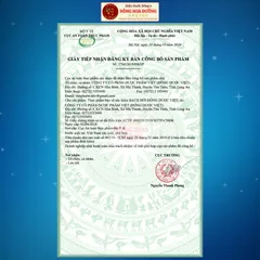 Viên uống Bạch Đới Đông Dược Việt (Hộp 30 viên) Điều hòa kinh nguyệt, giảm đau bụng kinh, hỗ trợ bổ huyết cho phụ nữ
