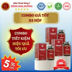 CEBRATON PREMIUM (hộp 30 viên) - Giúp tăng cường tuần hoàn máu não; Giảm căng thẳng, mệt mỏi, cải thiện giấc ngủ