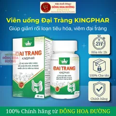 Viên uống ĐẠI TRÀNG KINGPHAR (hộp 40 viên) - Giảm viêm đại tràng, đi ngoài nhiều lần; Ổn định hệ tiêu hoá ĐÔNG HOA ĐƯỜNG