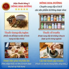 Kỷ Tử Đỏ Ninh Hạ | Hạt To Tự Nhiên | Pha Trà Dưỡng Sinh | Nấu Chè | Chưng Yến