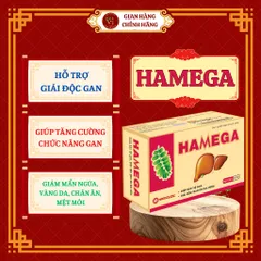 HAMEGA (hộp 40 viên) - Giúp giải độc gan, hạ men gan; Giảm mẩn ngứa, vàng da, chán ăn; Tăng cường chức năng gan - ĐHĐ