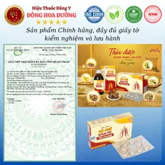 VIÊN NGẬM BỔ PHẾ KHA TỬ (hộp 20 viên) - Giúp bổ phổi, giảm ho, long đờm; Người bị ho khan, viêm họng - ĐÔNG HOA ĐƯỜNG