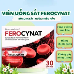 Viên Uống Bổ Sung Sắt Ferocynat Ba Lan - Hỗ Trợ Tăng Cường Sức Khỏe_Ngăn Ngừa TÌnh Trạng Thiếu Máu
