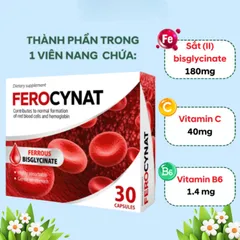 Viên Uống Bổ Sung Sắt Ferocynat Ba Lan - Hỗ Trợ Tăng Cường Sức Khỏe_Ngăn Ngừa TÌnh Trạng Thiếu Máu