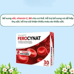Viên Uống Bổ Sung Sắt Ferocynat Ba Lan - Hỗ Trợ Tăng Cường Sức Khỏe_Ngăn Ngừa TÌnh Trạng Thiếu Máu