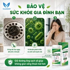 Lọ sinh học đa năng AMB, Viện Hàn lâm khoa học Việt Nam làm sạch, vệ sinh đường ống khử mùi hiệu quả