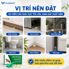 Thuốc Diệt Gián Sinh Học AMB – Diệt Nhiều Loại Gián, Dễ Sử Dụng, Hiệu Quả Cao