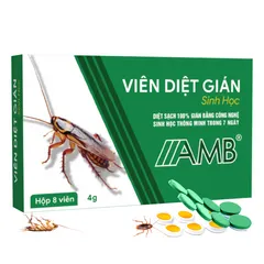 Thuốc Diệt Gián Sinh Học AMB – Diệt Nhiều Loại Gián, Dễ Sử Dụng, Hiệu Quả Cao