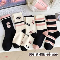 Combo 5 Đôi Tất Nữ Cổ Cao Phong Cách Hàn Quốc Ulzzang, Set Vớ Nữ Thể Thao Thêu Chữ STAR, Chữ C, Kẻ Sọc Cá Tính 813804