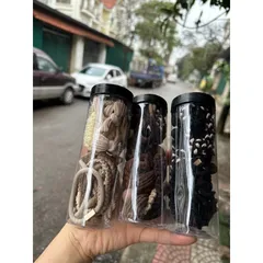 Hộp 20 Dây Thun Cột Tóc Đáng Yêu Xinh Xỉu Mẫu Mới Nhất 2025 813925