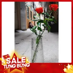 Lọ hoa thủy tinh viền vàng Bình hoa thủy tinh dáng trụ vát cao 21,5 cm decor trang trí 814017