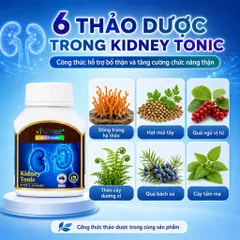 Combo Vitatree Maxi Ginkgo 9500mg 60 viên + Kidney Tonic 100 viên hỗ trợ tuần hoàn não và thận