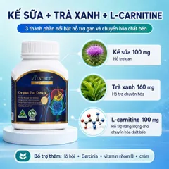 Combo Vitatree Organ Fat Detox 60 viên + Kidney Tonic 100 viên hỗ trợ gan thận & chuyển hóa chất béo