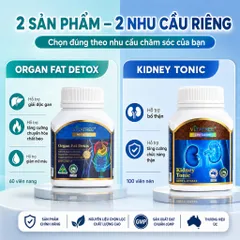 Combo Vitatree Organ Fat Detox 60 viên + Kidney Tonic 100 viên hỗ trợ gan thận & chuyển hóa chất béo