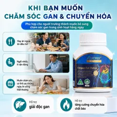 Combo Vitatree Organ Fat Detox 60 viên + Kidney Tonic 100 viên hỗ trợ gan thận & chuyển hóa chất béo