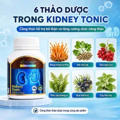 Combo Vitatree Organ Fat Detox 60 viên + Kidney Tonic 100 viên hỗ trợ gan thận & chuyển hóa chất béo