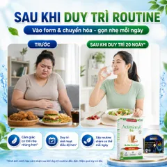 Combo Actimincyl Bio + Vitatree Organ Fat Detox | Hỗ Trợ Chuyển Hóa, Kiểm Soát Cân Nặng