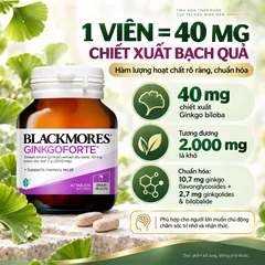 Viên uống Blackmores Ginkgoforte chiết xuất bạch quả hỗ trợ trí nhớ - Lọ 40 viên
