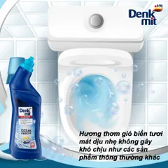 Dung dịch tẩy rửa bồn cầu, nhà vệ sinh Denkmit WC-Reiniger Ozean-Frische Đức 1L