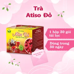 Combo Nhiều Loại Trà Hoa Atiso Đỏ Túi Lọc 30 Gói x 3g Tiện Lợi Dễ Sử Dụng