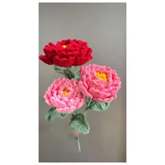 Hoa mẫu đơn len handmade decor bàn – Quà tặng sang trọng, bền đẹp