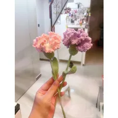 Hoa cẩm chướng len dùng làm quà tặng, trang trí bàn làm việc 815926