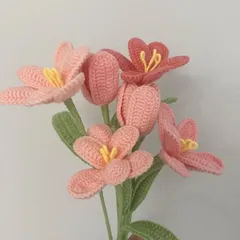 Hoa tulip len ghép cánh nở dùng trang trí bàn làm việc, làm quà tặng