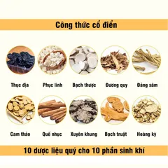 Thập toàn đại bổ hoàn cổ phương hồi khí, đại bổ khí huyết, lọ 360 viên