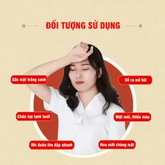 Thập toàn đại bổ hoàn cổ phương hồi khí, đại bổ khí huyết, lọ 360 viên