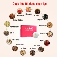 Viên hoàn ĐỊNH KHÔN ĐAN QUẢNG DỰ VIỄN bổ khí huyết, bí phương gìn giữ thanh xuân, hộp 6 viên hoàn mềm