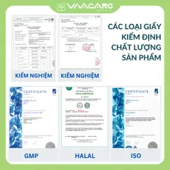 Viên Uống Hỗ Trợ Giảm Suy Giãn Tĩnh Mạch Venaxin FORTE Hộp 30 Viên, Nhập Khẩu