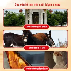A Giao Phúc Bài, cao da lừa Sơn Đông thượng phẩm (có tách bán lẻ), đại bổ huyết dưỡng nhan, dạng hộp thiếc 250g