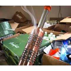 Cây lăn ngải đồng đôi chính hãng chất lượng cao