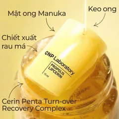 ✨ Son Dưỡng CNP Laboratory Propolis Lipcerin dưỡng ẩm sâu, phục hồi môi 15ml - Giao hỏa tốc