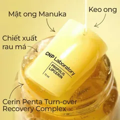 Son Dưỡng CNP Laboratory Propolis Lipcerin dưỡng môi mềm mịn 15ml - Giá tốt deal hời 🏷️
