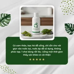 Green Quantum Nước Uống Cô Đặc 150ml Chính Hãng - Nước Diệp Lục Cô Đặc Dễ Pha, Vị Bạc Hà Thanh Mát 817048
